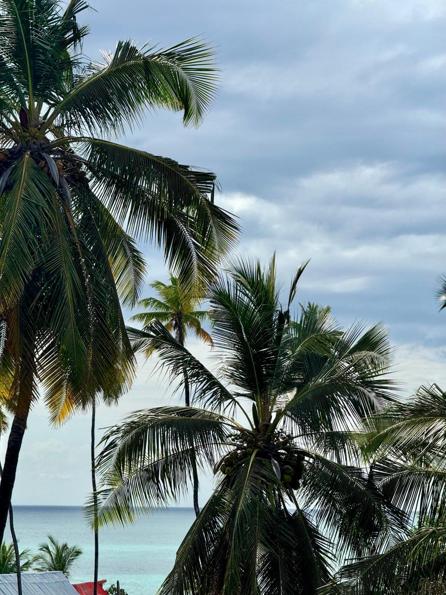 Rafiki Hotel Nungwi Beach Zewnętrze zdjęcie